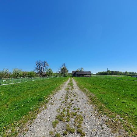 Zielone Zagrody - Stafieje Villa Grodzisko Dolne Exteriör bild