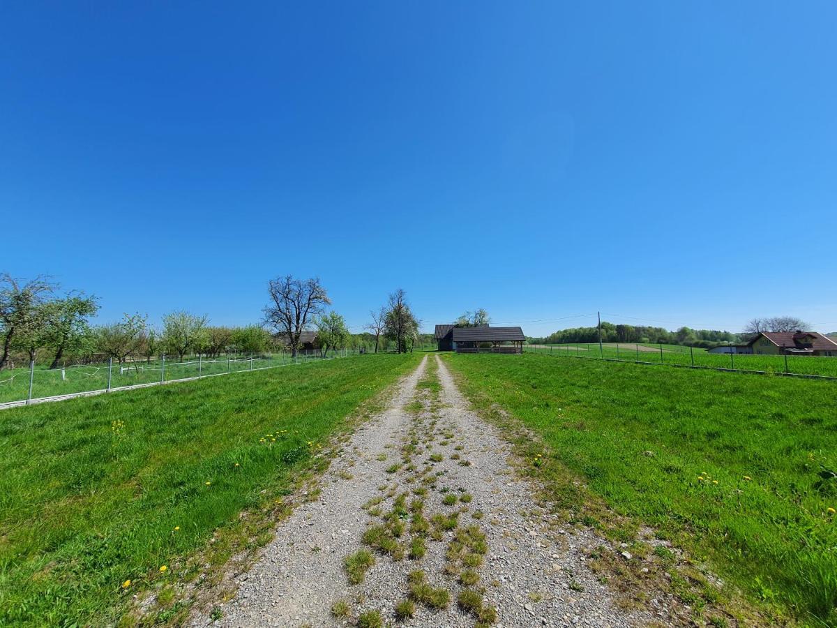 Zielone Zagrody - Stafieje Villa Grodzisko Dolne Exteriör bild